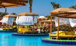 Hotel Desert Rose Resort, Egipt / Hurghada