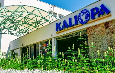 Hotel Kaliopa, Bulgaria / Albena