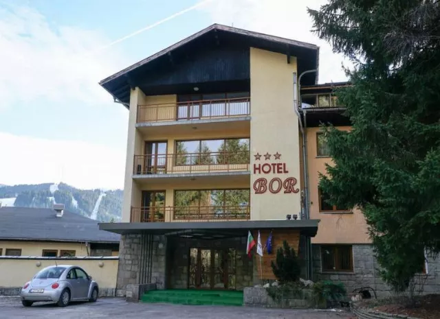 Hotel Bor