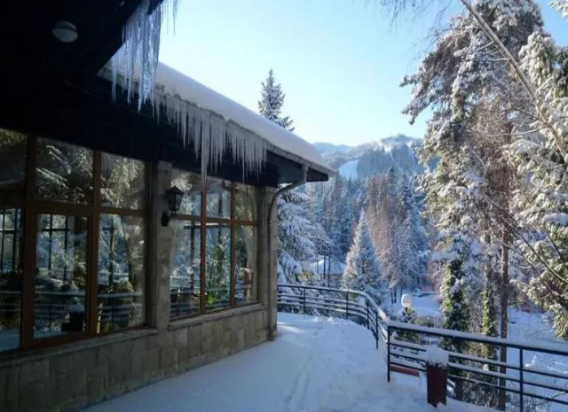 Hotel Bor