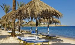 Hotel Sharm Dreams Resort, Egipt / Sharm El Sheikh / Naama Bay