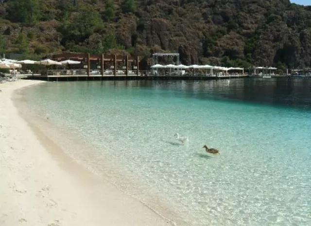 Hotel D Maris Bay