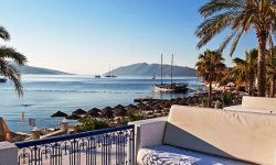 Hotel Salmakis Beach Resort & Spa, Turcia / Regiunea Marea Egee / Bodrum