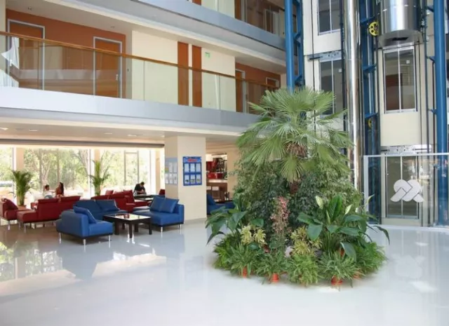 Hotel Sol Marina Palace
