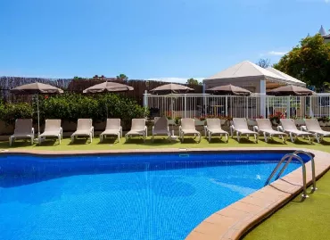 Dragos Del Norte, Spania / Tenerife / Puerto De La Cruz