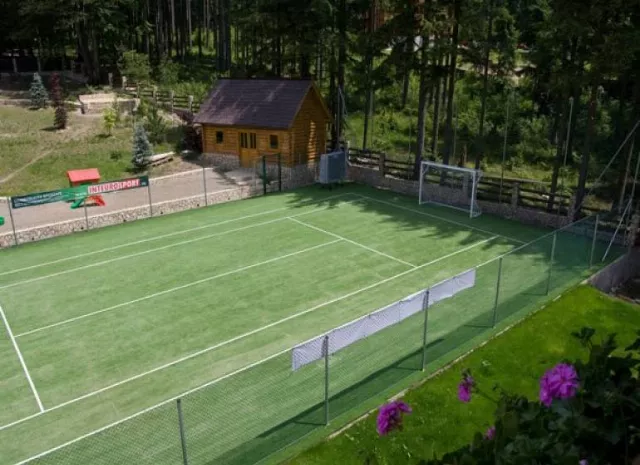Pensiunea Gainusa De Munte