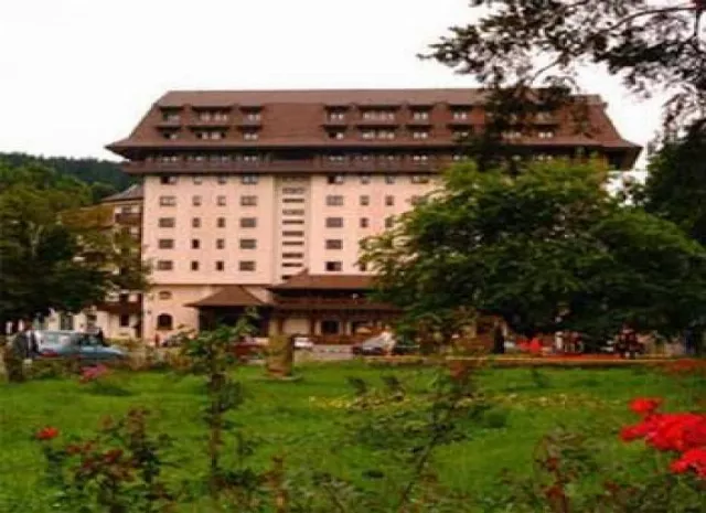 Best Western Bucovina