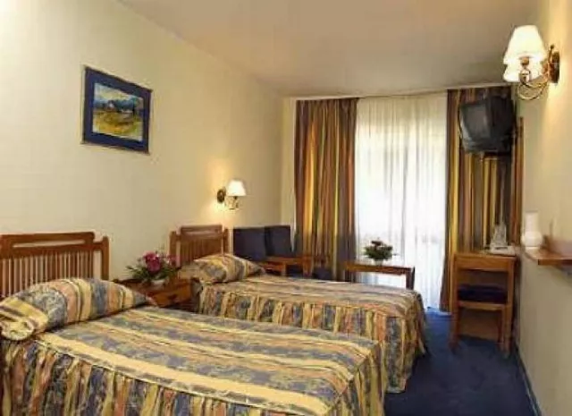 Hotel International
