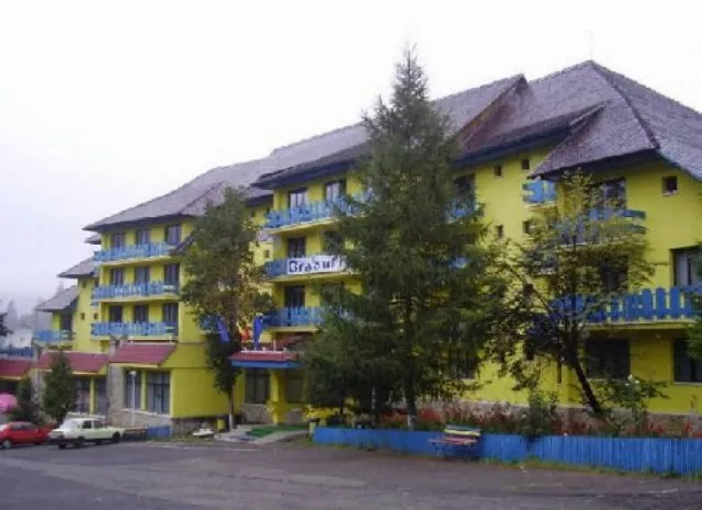 Hotel Bradul