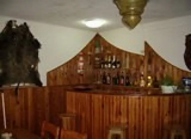 Pensiunea Tudor