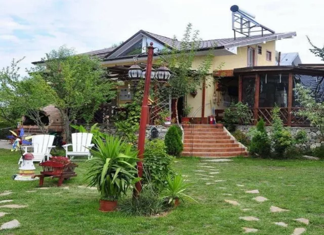 Pensiunea Delta Dmy
