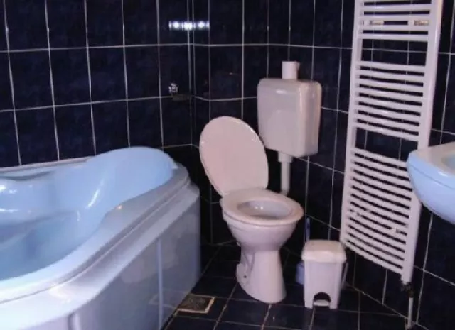 Vila Alexandra
