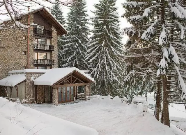 Hotel Bradul