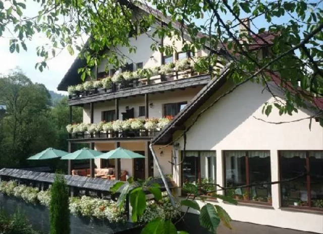 Pensiunea Bucovina Lodge