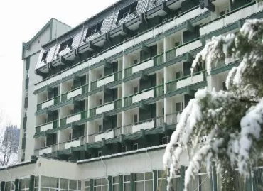 Hotel Bradul, Romania / Vatra Dornei