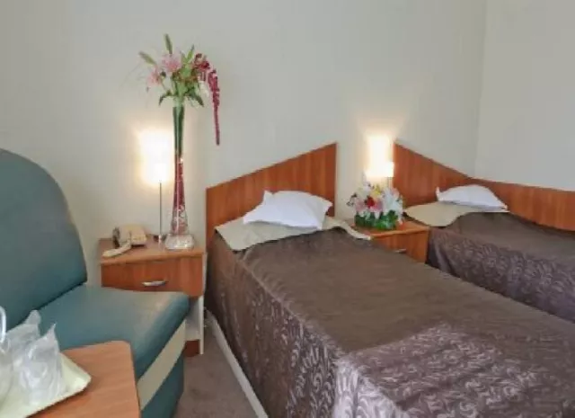 Hotel Bradul