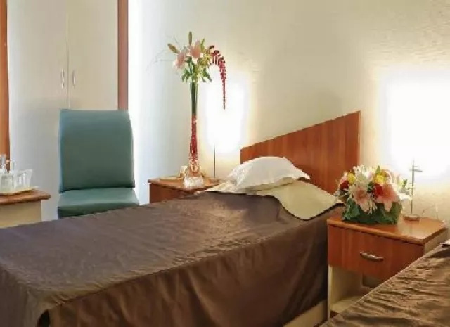 Hotel Bradul