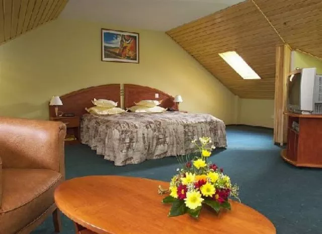 Hotel Ambient