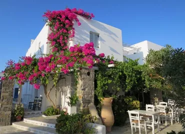 Hotel Zefi, Grecia / Grecia Insulara / Paros