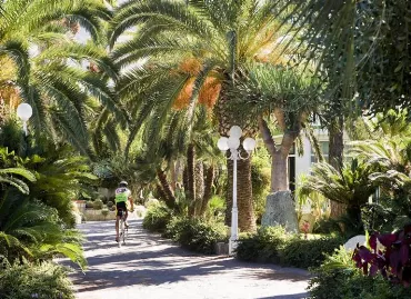 Hotel Park Mediterraneo, Italia / Ischia