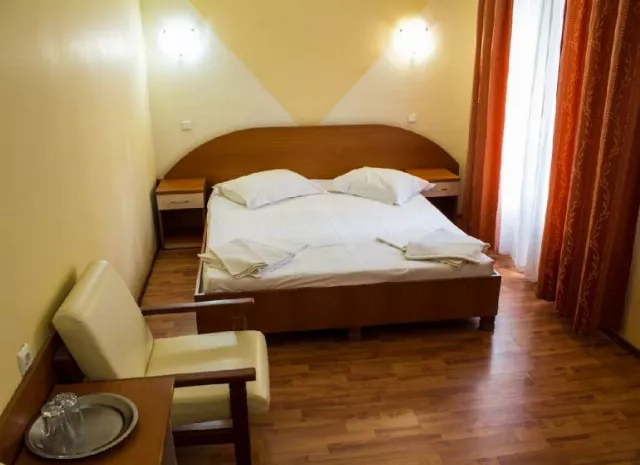 Hotel Violeta Cameră Dublă #4