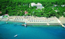 Hotel Larissa Art Beach, Turcia / Antalya / Kemer