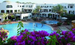 Hotel Verginia Sharm Resort & Aqua Park, Egipt / Sharm El Sheikh