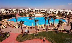 Hotel Shores Golden, Egipt / Sharm El Sheikh