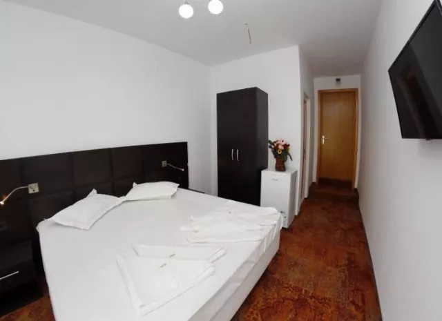 Hotel Mercur