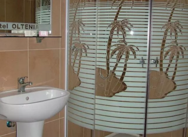 Hotel Oltenia