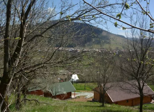 Complex Traisteni