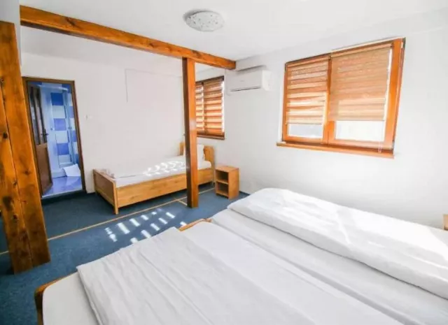 Pensiunea Zen Eco Villa