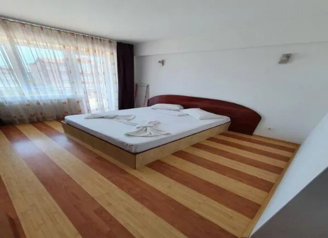 Hotel Steluta