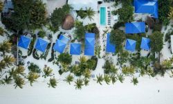 Hotel Indigo Beach Zanzibar, Tanzania / Zanzibar / Coasta De Sud-est / Bwejuu