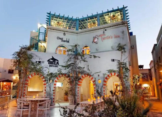 Hotel Turtle's Inn El Gouna