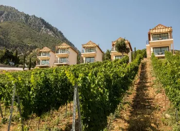 Hotel Gillham Vineyard, Cipru / Cipru Nord / Kyrenia