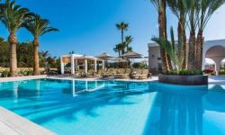 Hotel Dedalos, Grecia / Creta / Creta - Heraklion / Malia