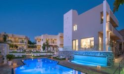 Apartments Kristalli, Grecia / Creta / Creta - Heraklion / Malia