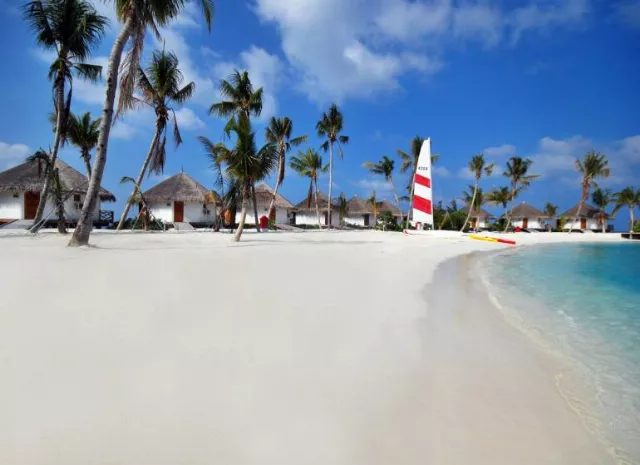 Hotel Safari Island Resort