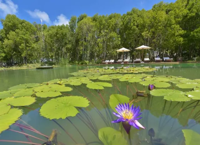 Hotel Dreamland Maldives Resort