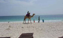 Hotel Southern Palms Beach Resort, Tanzania / Zanzibar / Coasta De Sud