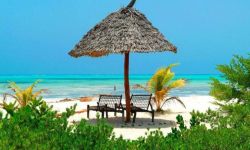 Hotel Hakuna Majiwe Beach Resort, Tanzania / Zanzibar / Coasta De Sud-est / Paje