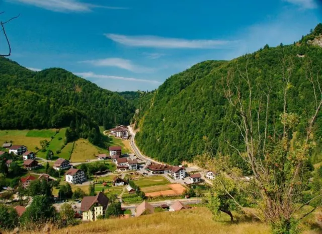 Cheile Gradistei Resort Moieciu