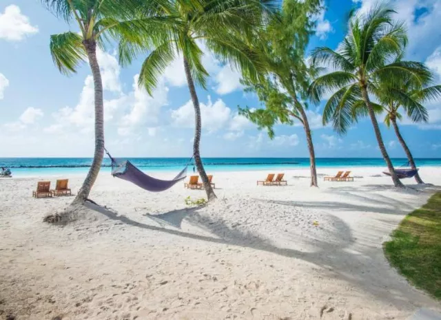 Hotel Sandals Barbados All Inclusive - Couples Only