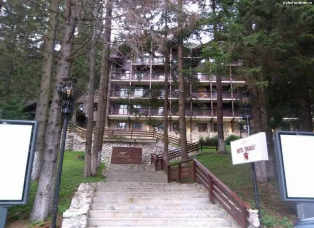 Hotel Ana Bradul