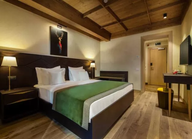 Hotel Ana Bradul