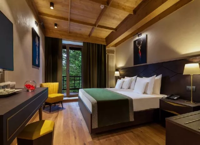 Hotel Ana Bradul