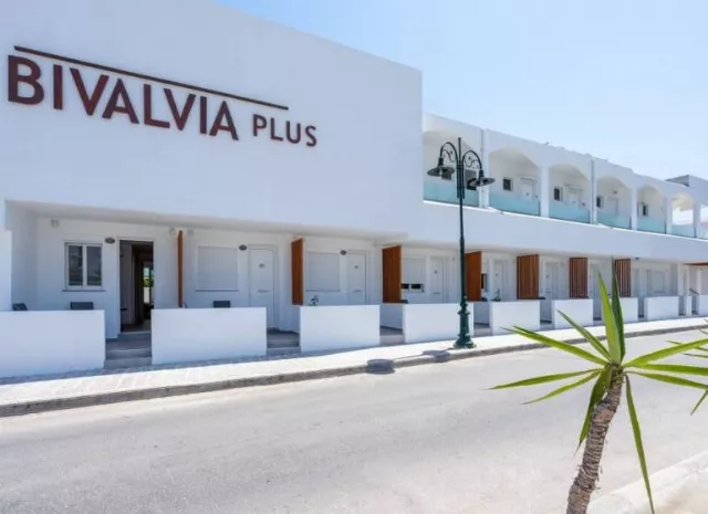 Bivalvia Beach Plus