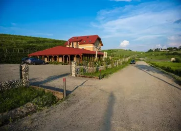 Pensiunea Sarea-n Bucate, Romania / Turda