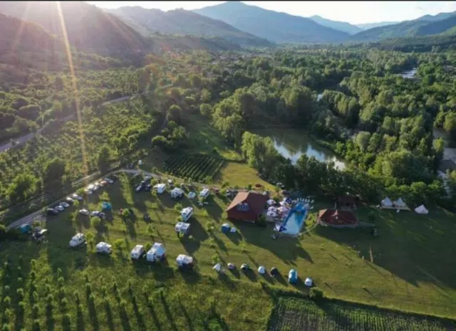 Bibi Camp Fest
